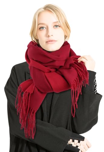 Wantonfy Schal Damen Pashmina Schal Damen Deckenschal Warme Schals für Herbst Winter von Wantonfy