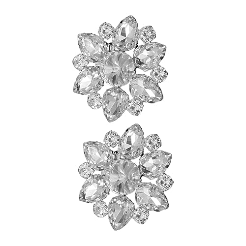 Warmhm 2 Stück Abnehmbare Strass Schuhclips DIY Schuhschmuck für Damen Dekorative Schuhschnallen für Hochzeiten und Anlässe von Warmhm