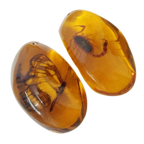 Warmhm 2stücke Echt Bernstein Insekt Anhänger Diy Schmuck Zubehör Aus Bienenwachs Unregelmäßige Form Für Halsketten Und Ohrringe Herstellung Zufällige Farbe von Warmhm
