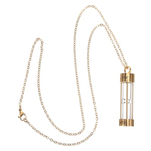 Warmhm Urnen Halskette für Tierasche Langlebiger Anhänger Hund Urnen Schmuck Erinnerungsanhänger von Warmhm