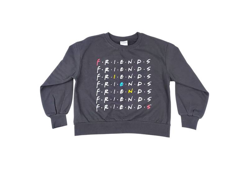 Warner Bros. Sweatshirt Friends Damen Sweat-Pullover Größe XS-XL von Warner Bros.