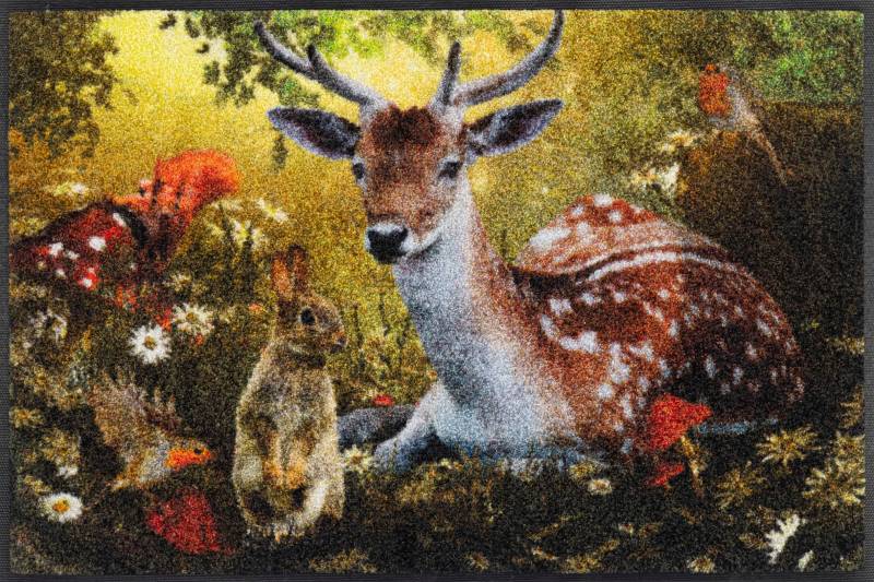 wash+dry by Kleen-Tex Fußmatte "Forest Whisper" rechteckig 7 mm Höhe von Wash+dry By Kleen-Tex