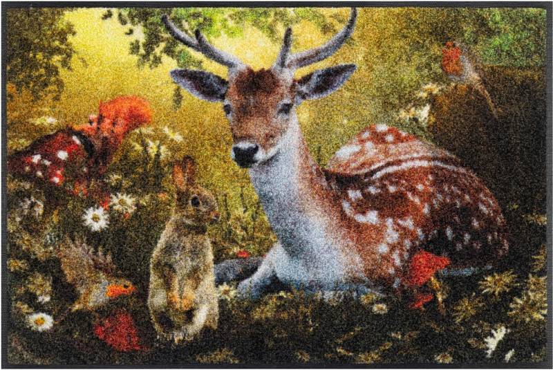 wash+dry by Kleen-Tex Fußmatte 7 mm Höhe von Wash+dry By Kleen-Tex