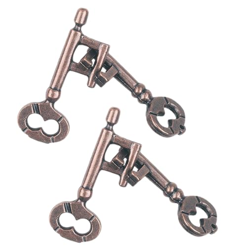 WeddHuis 2 Stück IQ Teaser Unlock Toy Intelligence Buckle Adult Intelligent Puzzle Lock Buckle Lernspielzeug Schlüsselschloss Knobelspiele Für Erwachsene von WeddHuis