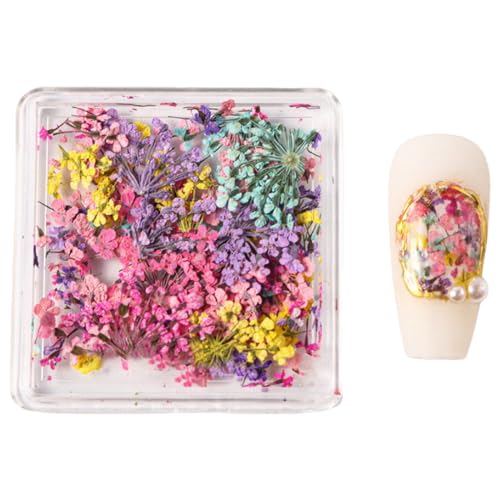 Getrocknete Blumennägel Art Japanischer Stil Nagel Nägel Versorgt Design Nails Kunstdekoration Für Frauen Mädchen von Wegiwuca