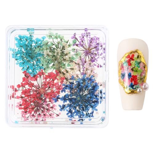 Getrocknete Blumennägel Art Japanischer Stil Nagel Nägel Versorgt Design Nails Kunstdekoration Für Frauen Mädchen von Wegiwuca
