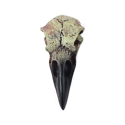 Wegiwuca Ravenskull Halskette Für Frauen Männer Knochenschmuck Punknecklaces Teens Mädchen Jungen Vintage Skelett Schmuck Harz Anhänger Schädel Halskette Wegiwuca Ravenskull Halskette Für Frauen Männer Knochenschmuck Punknecklaces Teens Mädchen Jungen Vintage Skelett Schmuck Harz Anhänger Schädel Halskette von Wegiwuca