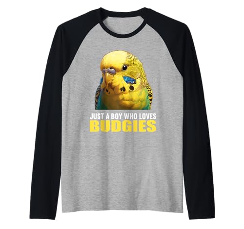 Herren Wellensittiche Wellensittich Raglan Herren Wellensittiche Wellensittich Raglan von Wellensittiche Wellensittich Tier Shop