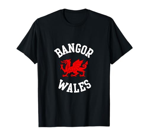 Bangor Wales, walisischer Drache, geeignet für Kinder, Männer, Frauen T-Shirt Bangor Wales, walisischer Drache, geeignet für Kinder, Männer, Frauen T-Shirt von Welsh Pride Welsh Dragon Gifts