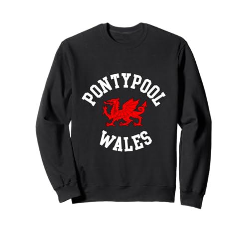 Pontypool Wales-Drache, walisischer Drache, geeignet für Kinder, Männer, Frauen Sweatshirt Pontypool Wales-Drache, walisischer Drache, geeignet für Kinder, Männer, Frauen Sweatshirt von Welsh Pride Welsh Dragon Gifts