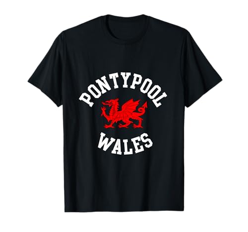 Pontypool Wales-Drache, walisischer Drache, geeignet für Kinder, Männer, Frauen T-Shirt Pontypool Wales-Drache, walisischer Drache, geeignet für Kinder, Männer, Frauen T-Shirt von Welsh Pride Welsh Dragon Gifts