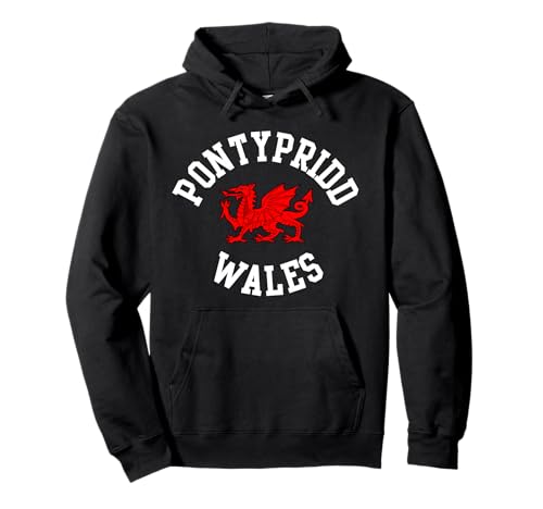 Pontypridd Wales-Drache, walisischer Drache, geeignet für Kinder, Männer, Frauen Pullover Hoodie Pontypridd Wales-Drache, walisischer Drache, geeignet für Kinder, Männer, Frauen Pullover Hoodie von Welsh Pride Welsh Dragon Gifts
