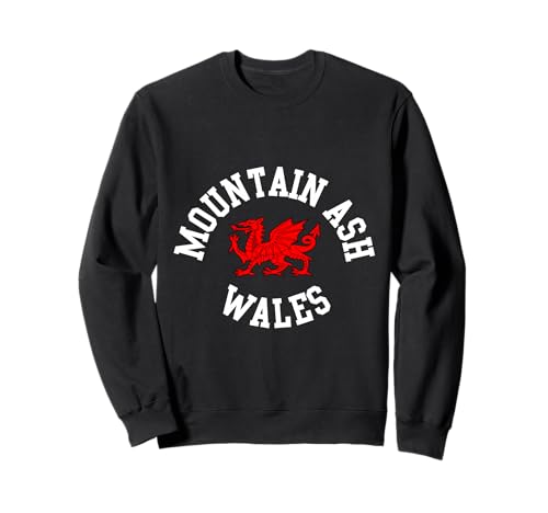 Walisischer Drache aus Eberesche, geeignet für Kinder, Männer, Frauen Sweatshirt von Welsh Pride Welsh Dragon Gifts