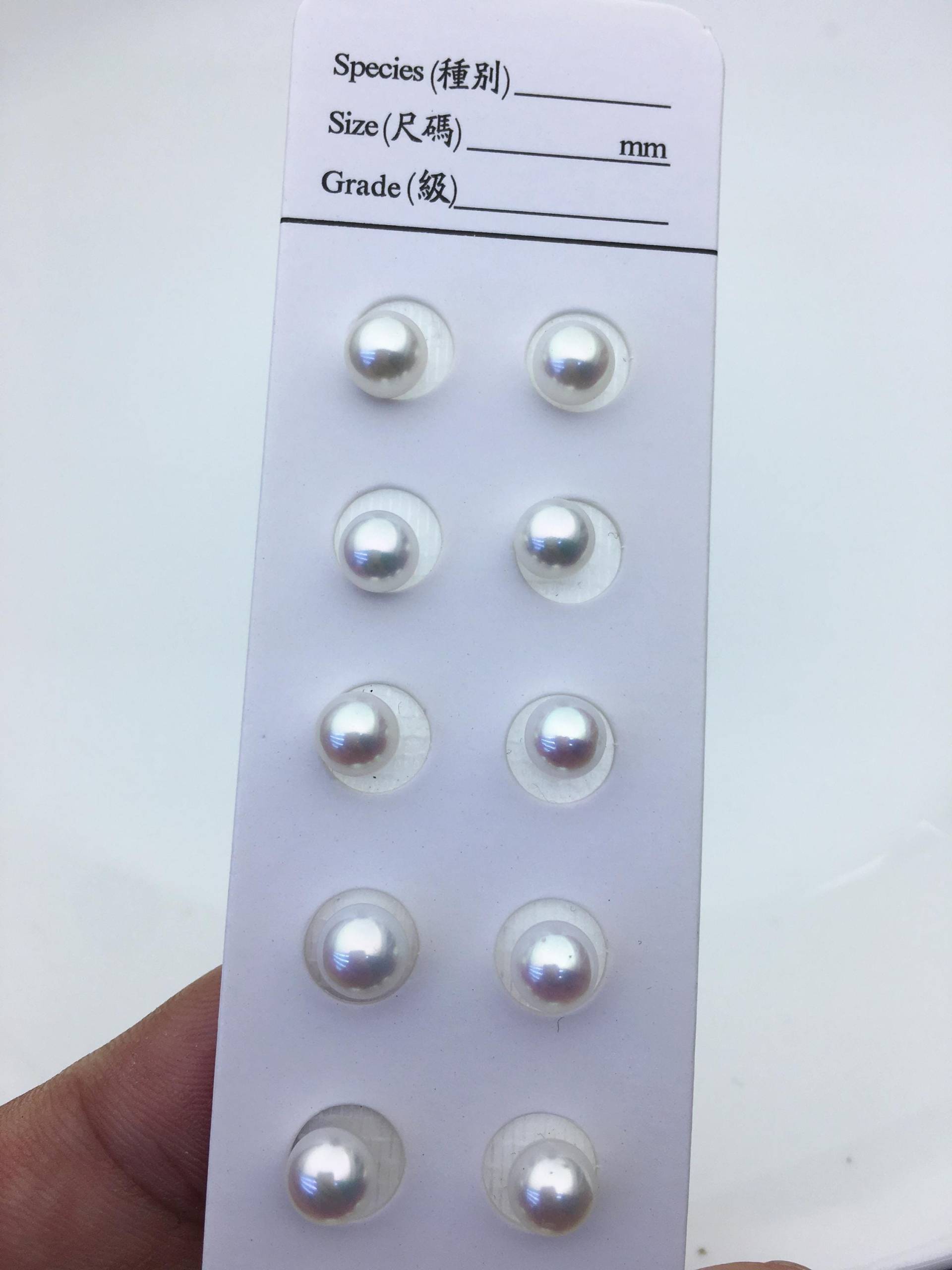 Hoher Glanzaaa 6-6.5 Mm Weißes Rundes Süßwasserperlenpaar, Runde Lose Perle Mit Halbloch Für Perlenohrringe Perlenringe Rp6-3A-3 Hoher Glanzaaa 6-6.5 Mm Weißes Rundes Süßwasserperlenpaar, Runde Lose Perle Mit Halbloch Für Perlenohrringe Perlenringe Rp6-3A-3 von WenPearls