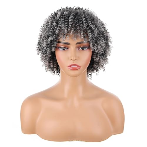 Afro Perücke Kurz, Kinky Curly Wig, Curly Afro wigs for Black Women Kinky Curly Wigs Perücke Locken Short Wigs for Black Women (gray) von Wepwcod