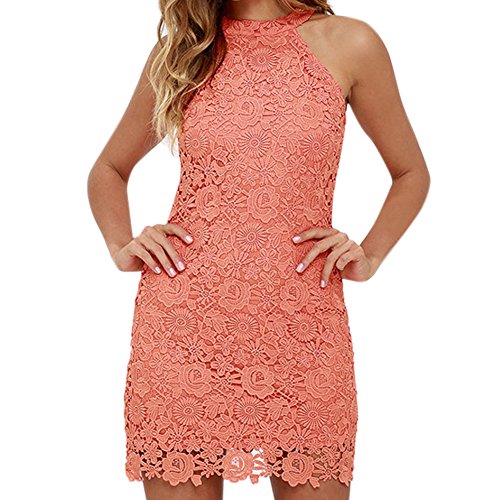 West See Damen Spitze Minikleider Elegant Halfter Ansatz Vintage Ärmellos Bodycon Spitze Stickerei Minikleid Partykleid Sommer Kurz Etuikleid von West See