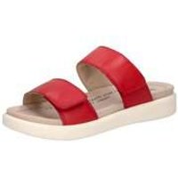 Westland by Josef Seibel Albi 03 Pantolette Damen rot|rot|rot|rot|rot|rot|rot von Westland by Josef Seibel