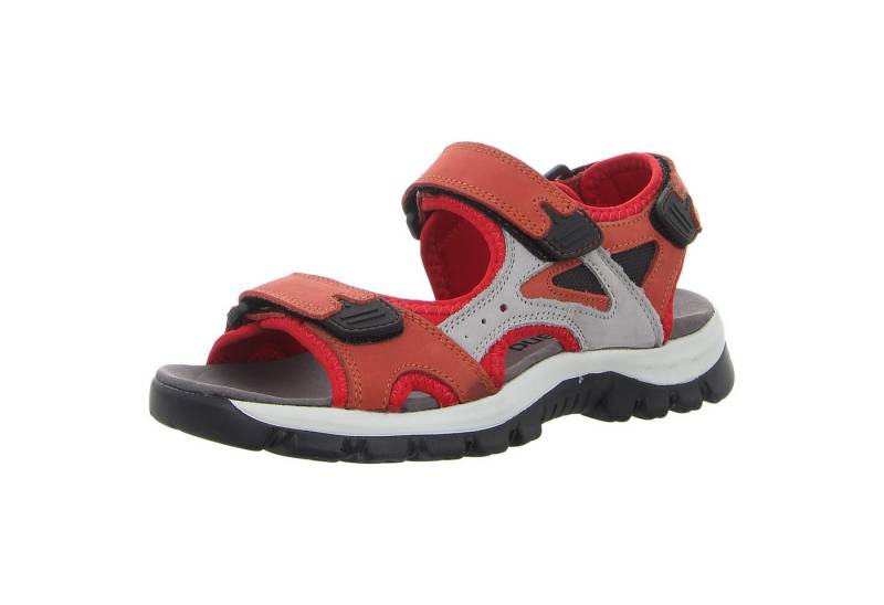 Westland Sandalette von Westland