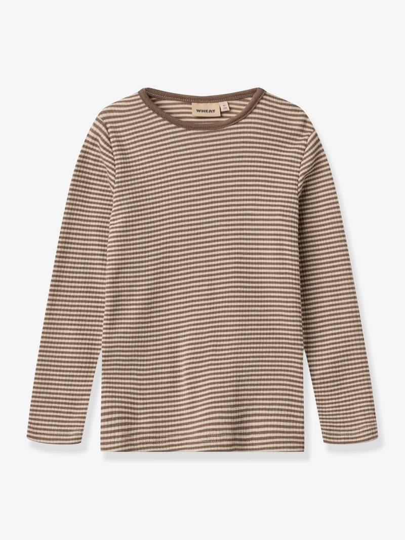 Shirt aus Merinowolle  Kinder Wheat von Wheat