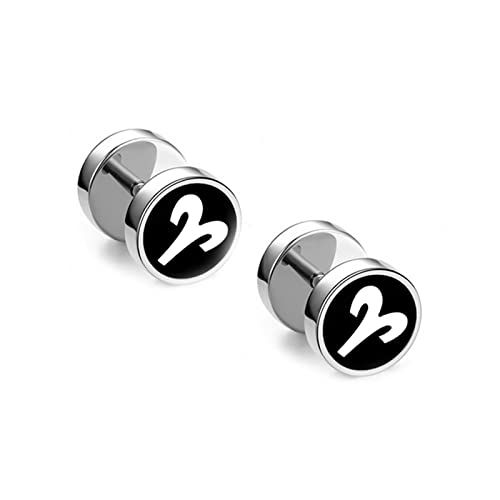 Ohrstecker Schwarz, Ohrringe Damen Silber Sternzeichen Widder-Muster Edelstahl Ohr Piercings Zurückschrauben 8mm von Whoiy
