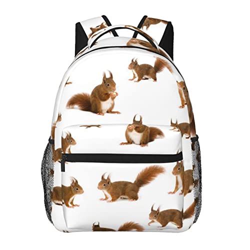 Süßer Eichhörnchen-Rucksack, lässiger Rucksack, Schultasche, Reisetagesrucksack für Damen, Herren, Kinder, Süßes Eichhörnchen, Einheitsgröße von Whuanlo