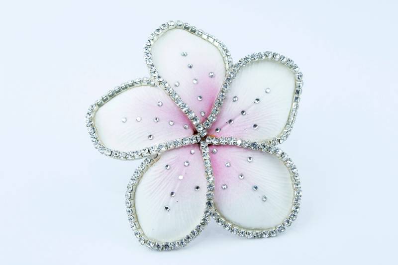 Kristallisiert Plumeria Kristallisiert Plumeria von WhySoFly