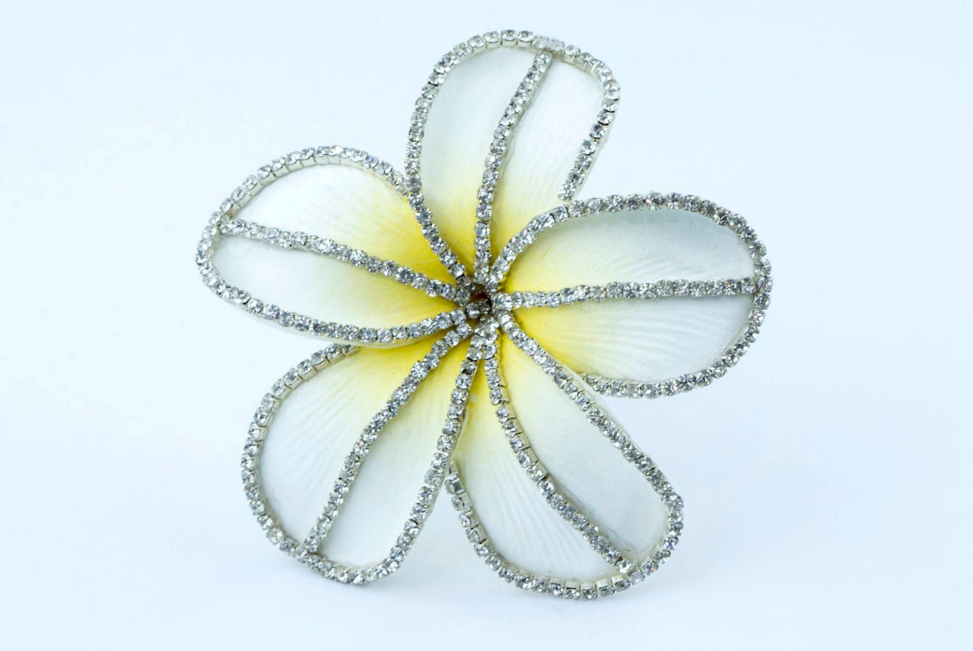 Kristallisierte Plumeria Kristallisierte Plumeria von WhySoFly
