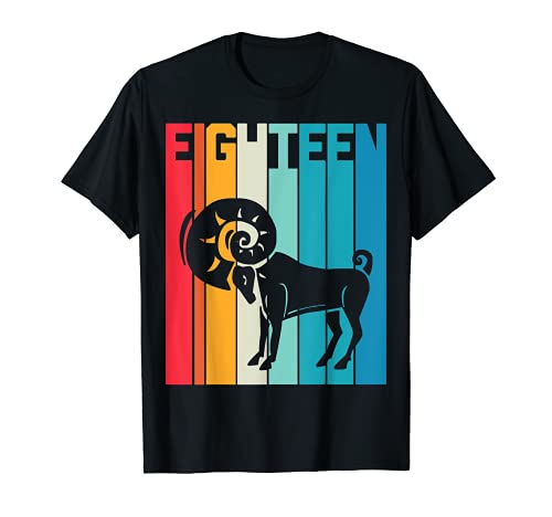 18. Geburtstag Sternzeichen Widder Retro Mädchen Jungen T-Shirt 18. Geburtstag Sternzeichen Widder Retro Mädchen Jungen T-Shirt von Widder Sternzeichen März April Geburtstag