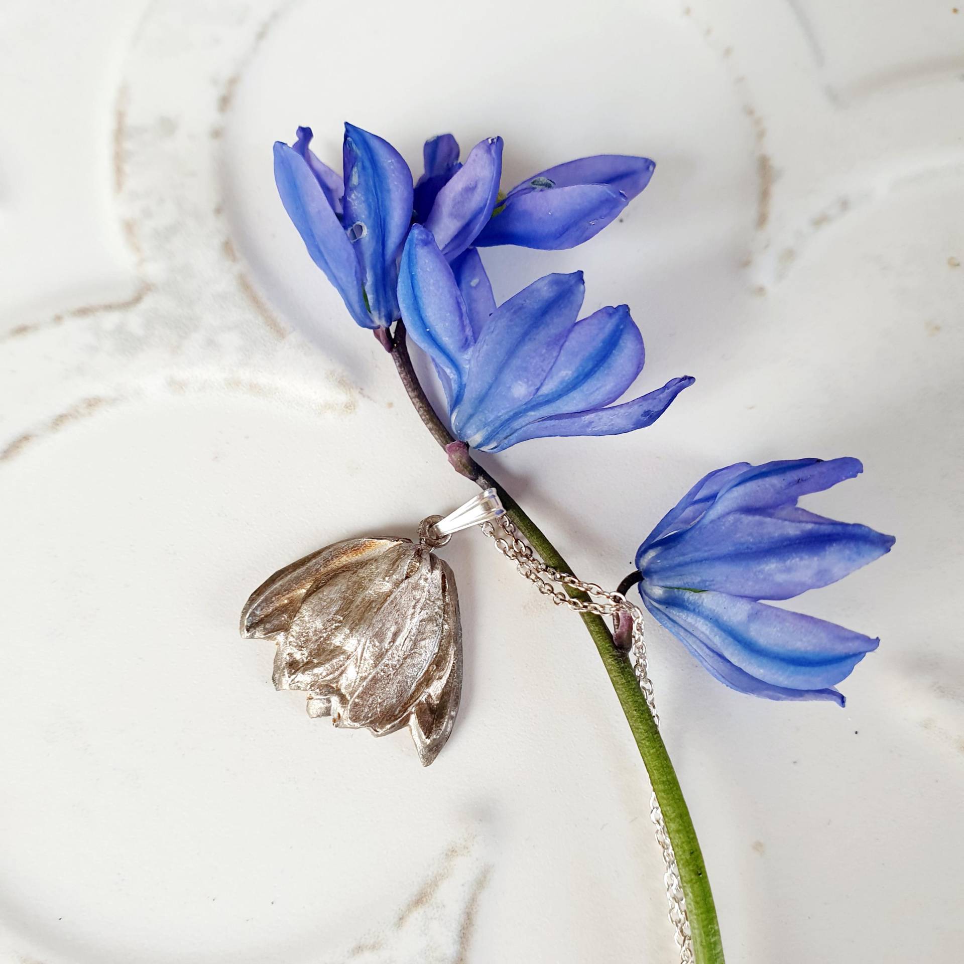 Blaustern Echte Blüte Handmade Unikat Silber Anhänger Kette Kettenanhänger Blaustern Echte Blüte Handmade Unikat Silber Anhänger Kette Kettenanhänger von WiesenManufaktur