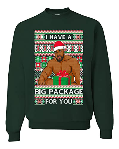 Wild Bobby I have a Big package Meme Barry Wood Ugly Christmas Sweater Unisex Crewneck Sweatshirt, Gr?n (Forest Green), X-Large von Wild Bobby