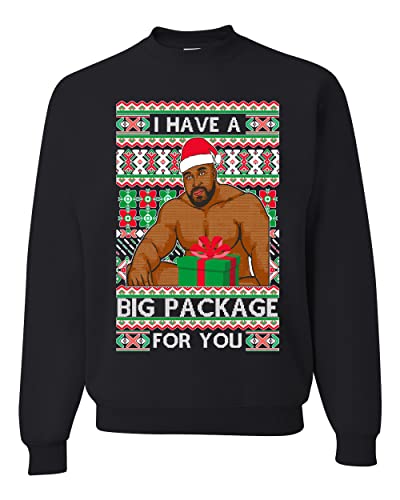 Wild Bobby I have a Big package Meme Barry Wood Ugly Christmas Sweater Unisex Crewneck Sweatshirt, Schwarz 1, XX-Large von Wild Bobby