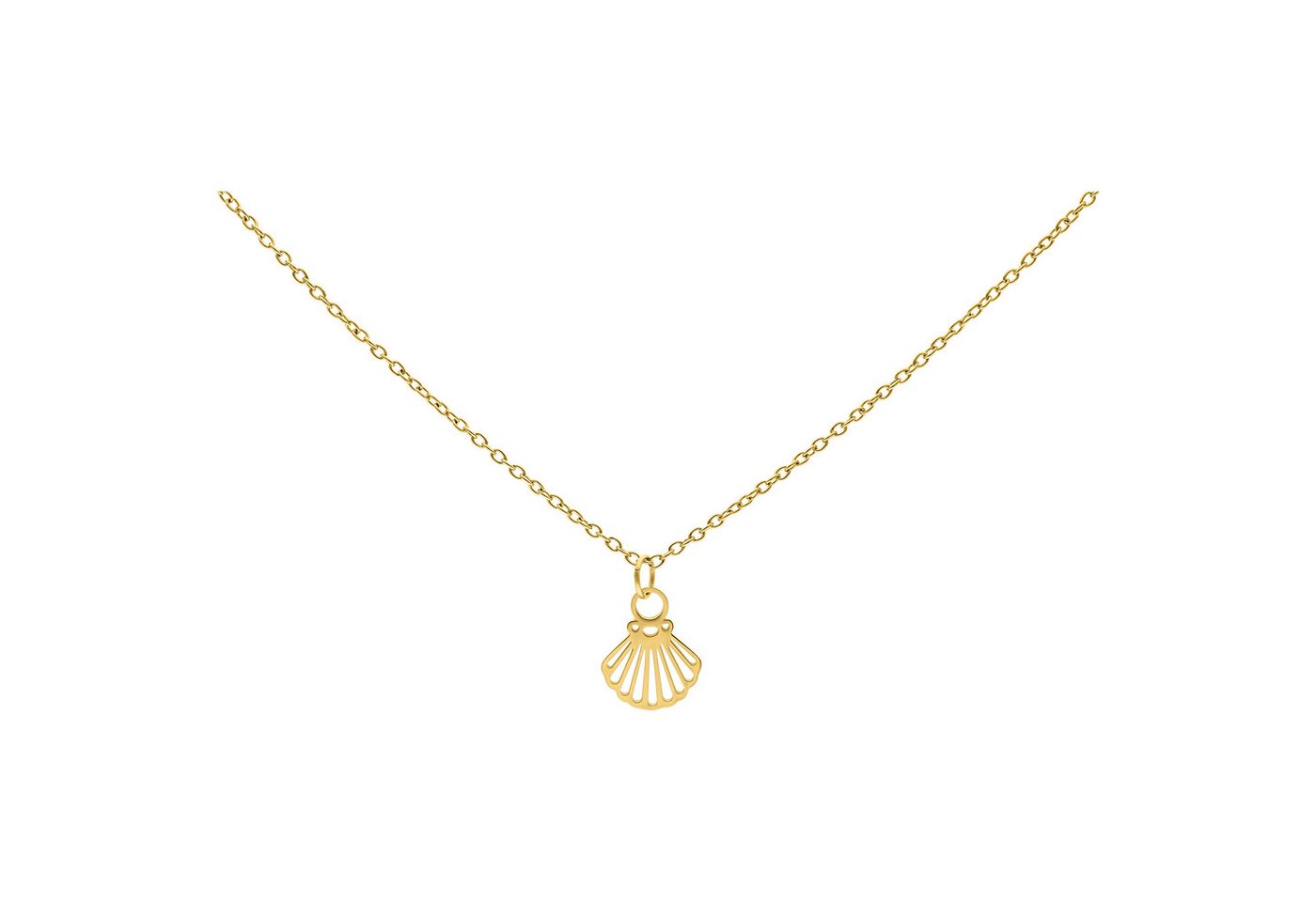 Wildcat Kette mit Anhänger Little Shell Kette, wasserfest, langlebig, hautverträglich von Wildcat