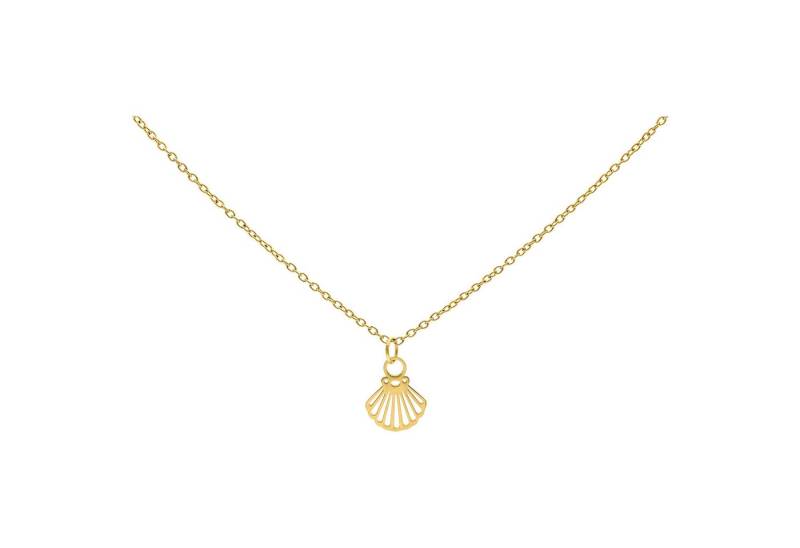 Wildcat Kette mit Anhänger Little Shell Kette, wasserfest, langlebig, hautverträglich von Wildcat