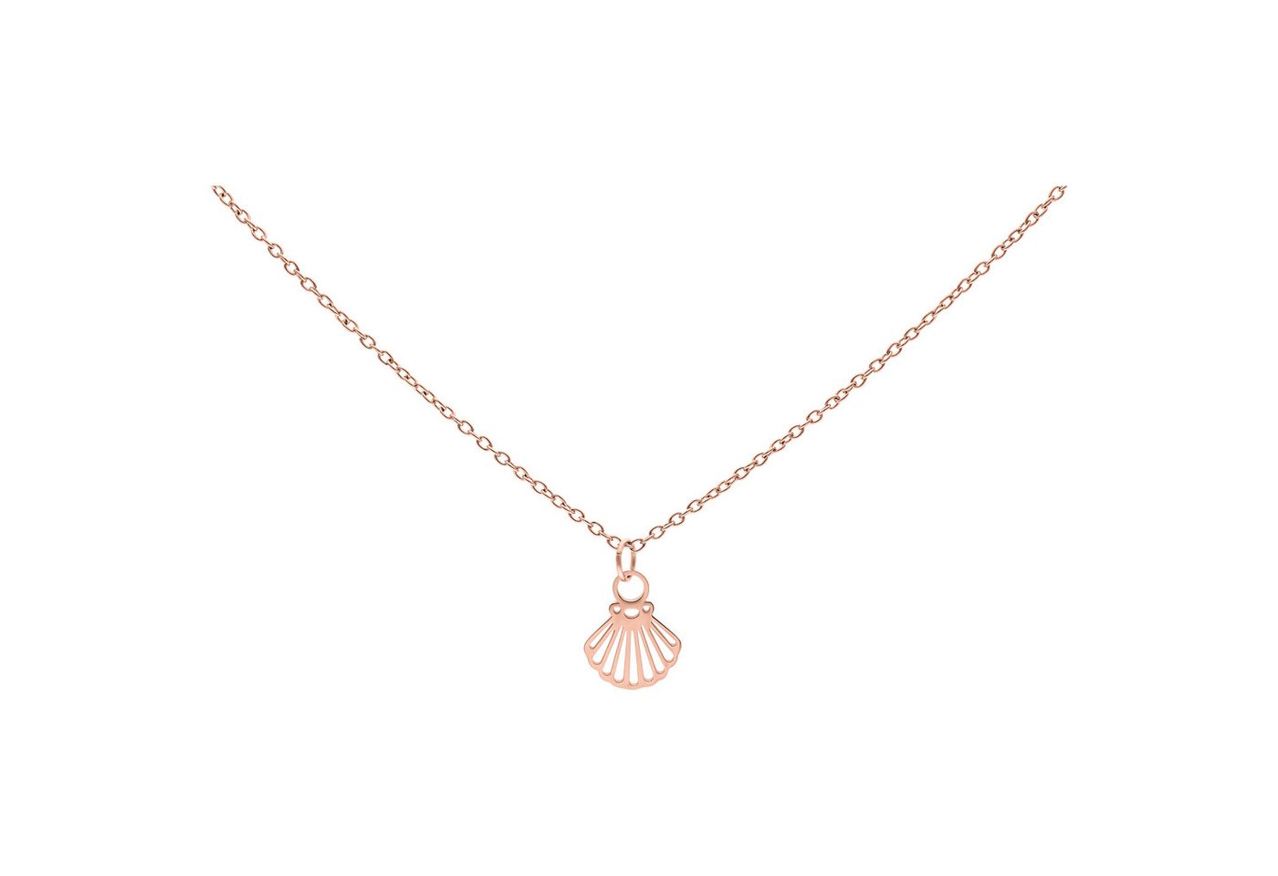 Wildcat Kette mit Anhänger Little Shell Kette, wasserfest, langlebig, hautverträglich von Wildcat