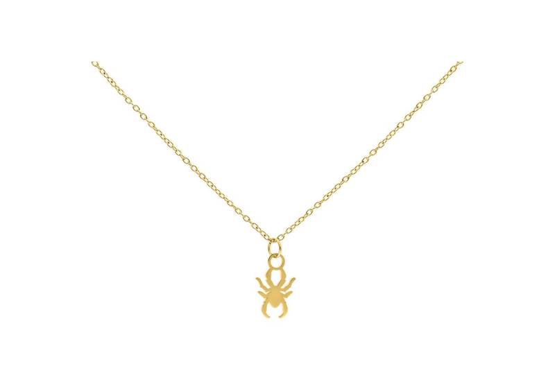 Wildcat Kette mit Anhänger Little Spider Kette, wasserfest, langlebig, hautverträglich von Wildcat