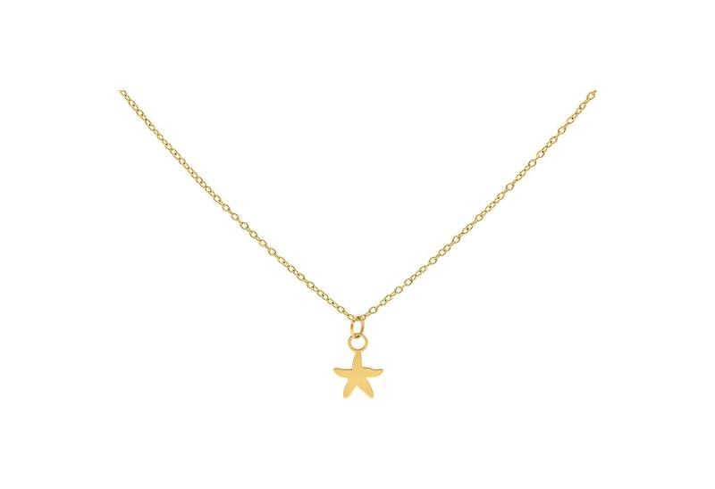 Wildcat Kette mit Anhänger Little Starfish Kette, wasserfest, langlebig, hautverträglich von Wildcat