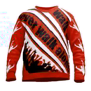 Pullover Never walk alone von Wildemasche