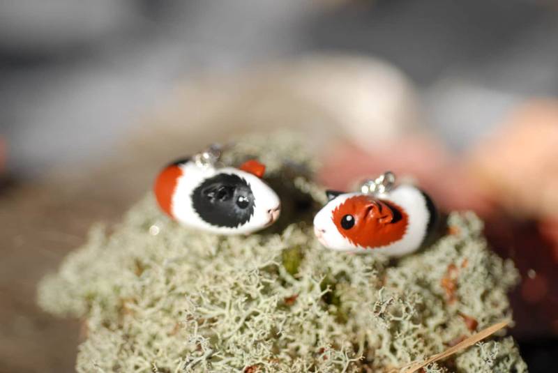 Mini Meerschweinchen Ohrringe von Wildyfraise