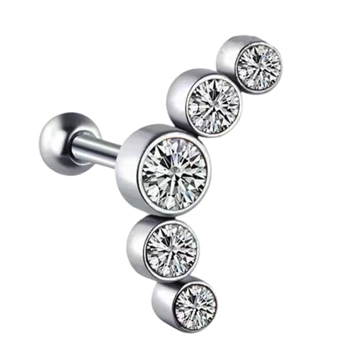 Wilgure 1pc Edelstahl Punk Gesteinen Ohrring Für Knorpel Tragus Ohrpiercing Schmuck Alltägliche Verschleißkörperzubehör Trendy Ohr Piercings von Wilgure