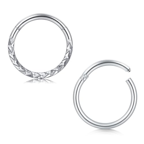 WillTen 2PCS Nasenpiercing Chirurgenstahl, 16G 10mm Septum Piercing Silber Clicker Segment Nase Ringe Knorpel Helix Tragus Rook Piercing Schmuck für Frauen Mädchen von WillTen