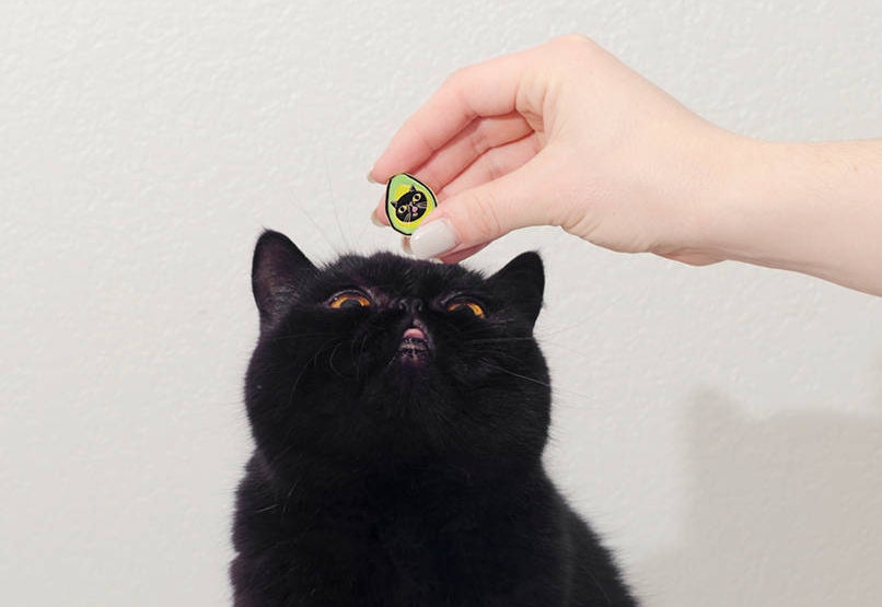 Avocado Avocado von WillowTheSquishyCat