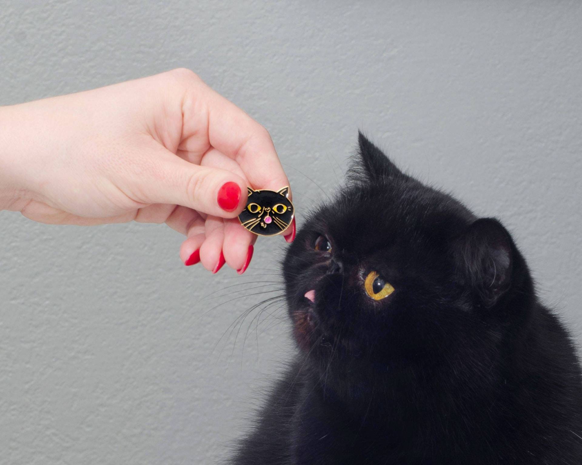 Willow Matschig Katze Emaille Pin Willow Matschig Katze Emaille Pin von WillowTheSquishyCat