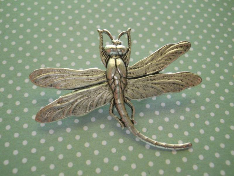 Metall Libelle Brosche Natur Pin Sterling Silber Überzogene Messing Gärtner Geschenk Symbol Der Erneuerung Buch Tasche Hut Geldbörse von WillowandQuinn