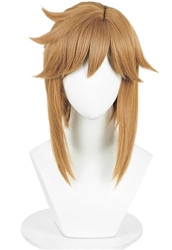 Windskids Link Cosplay Perücken Herren Braun Pony Kostümperücke Verkleidung Game Zelda Legende Link Halloween Karneval Party Maskerade Anime Wig von Windskids