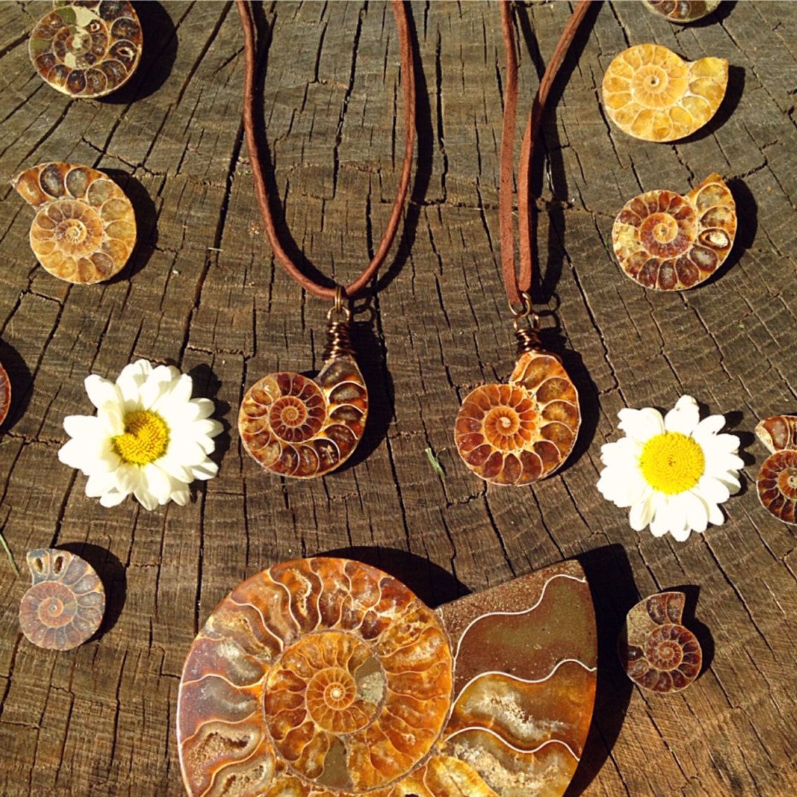Ammonit - Unisex Fossilien Halskette Auf Naturleder Ammonit - Unisex Fossilien Halskette Auf Naturleder von WingostarrJewelry