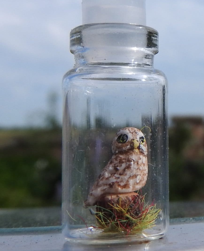 Handgefertigte Miniatur Steinkauz in Eine Kleine Flasche Anhänger Halskette Sammlerstücke Handgefertigte Miniatur Steinkauz in Eine Kleine Flasche Anhänger Halskette Sammlerstücke von WiseWomanCraft