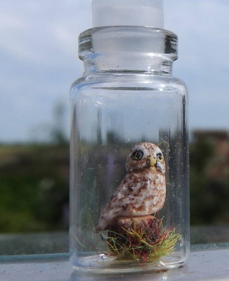 Handgefertigte Miniatur Steinkauz in Eine Kleine Flasche Anhänger Halskette Sammlerstücke Handgefertigte Miniatur Steinkauz in Eine Kleine Flasche Anhänger Halskette Sammlerstücke von WiseWomanCraft