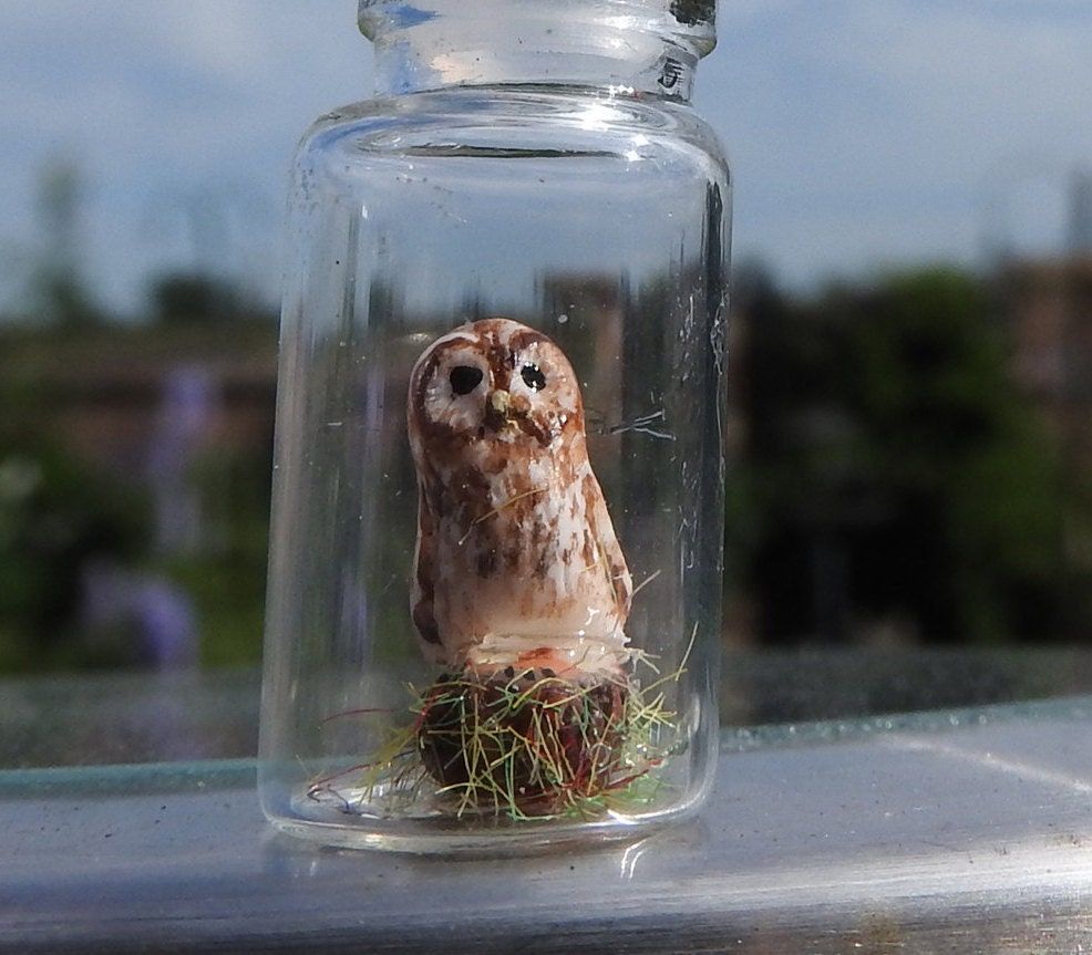 Handgefertigte Miniatur Waldkauz in Eine Kleine Flasche Anhänger Halskette Sammlerstücke Handgefertigte Miniatur Waldkauz in Eine Kleine Flasche Anhänger Halskette Sammlerstücke von WiseWomanCraft