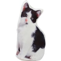 Türstopper von Witt