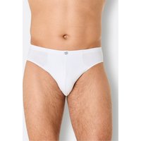 Slip von Witt